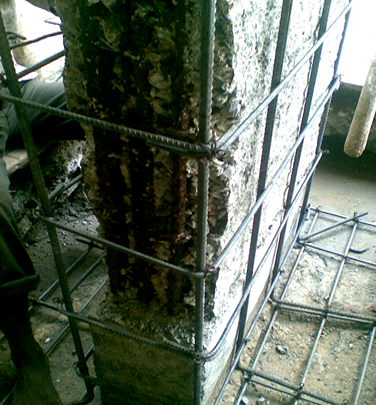 single-img-10
